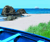 Haven Holiday photograph - Seaton Sands