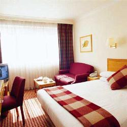 Gatwick Holiday Inn Hotel room