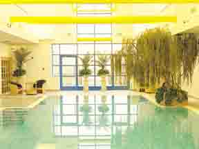Ramada Plaza Gatwick pool